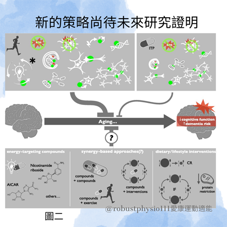 運動比傳統的抗衰老化合物更有效