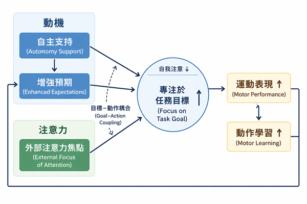 OPTIMAL Motor Learning 理論架構圖